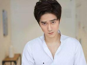 电视剧推荐吃瓜娱乐圈,跟随电视剧吃瓜，一探明星幕后真相  第3张