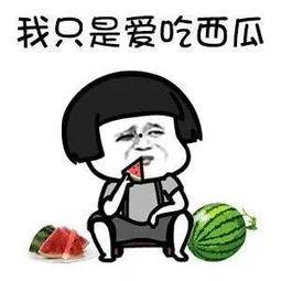 娱乐圈吃瓜的梗叫什么来着,揭秘明星们的幕后故事  第2张