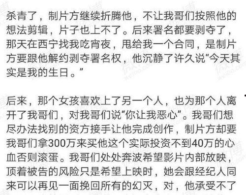 吃瓜博主娱乐圈博主,揭秘吃瓜博主与娱乐圈博主背后的故事  第3张