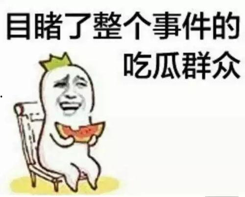 聊娱乐的吃瓜群众评价怎么写,盘点明星幕后故事与真实评价 第3张 聊娱乐的吃瓜群众评价怎么写,盘点明星幕后故事与真实评价 第3张