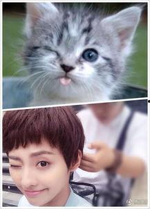 娱乐吃瓜小猫咪小说在线阅读,揭秘娱乐圈幕后风云 第3张 娱乐吃瓜小猫咪小说在线阅读,揭秘娱乐圈幕后风云 第3张