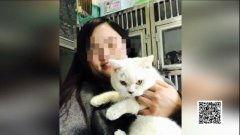 娱乐吃瓜酱小猫坐公交车,萌宠坐公交,趣味横生一幕 第3张 娱乐吃瓜酱小猫坐公交车,萌宠坐公交,趣味横生一幕 第3张