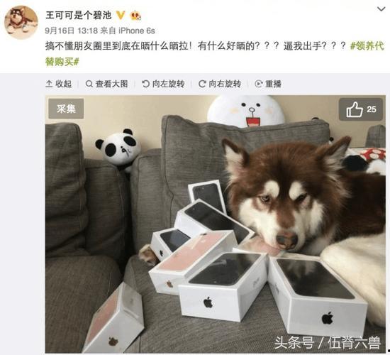 娱乐圈吃瓜小狗小说在线阅读,吃瓜小狗的甜蜜复仇之旅 第1张 娱乐圈吃瓜小狗小说在线阅读,吃瓜小狗的甜蜜复仇之旅 第1张