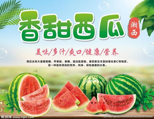吃瓜娱乐封面设计图片高清,揭秘高清封面背后的娱乐风云 第2张 吃瓜娱乐封面设计图片高清,揭秘高清封面背后的娱乐风云 第2张